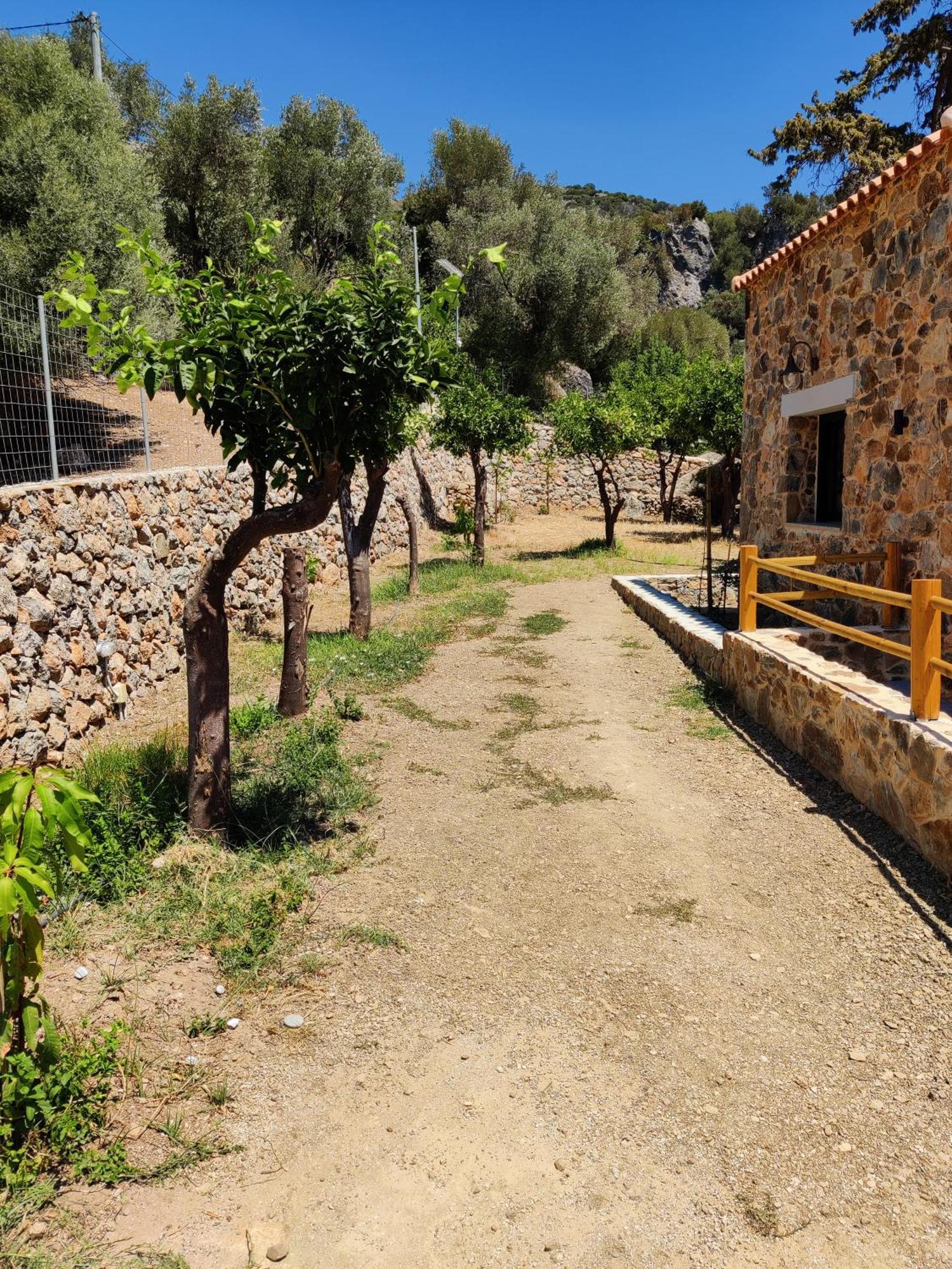 Holiday home Casa Diosa